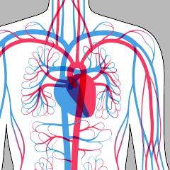 Hipertensiune: semnale către un risc iminent. Descoperă cum poți preveni acesta!