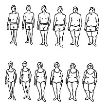 Déterminez votre indice de masse corporelle (poids idéal, surpoids, obésité)