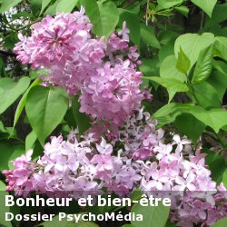 Les émotions
