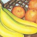 Les suppléments de vitamine B9 (acide folique) protègent du déclin cognitif